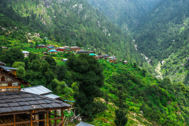 Manali from Delhi | FREE Solang Valley Trip