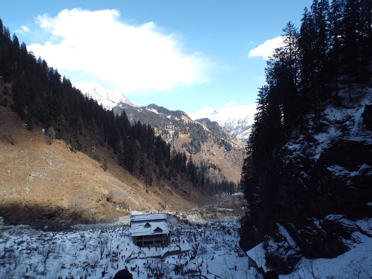 Manali from Delhi | FREE Solang Valley Trip