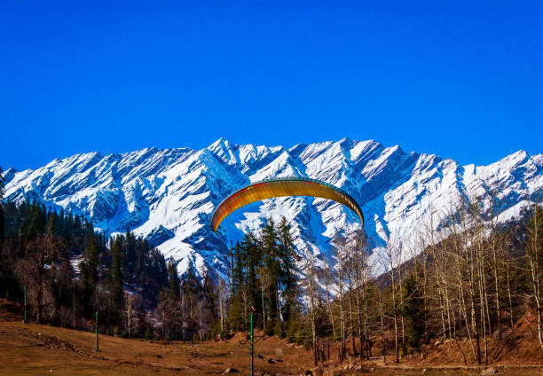 Manali from Delhi | FREE Solang Valley Trip